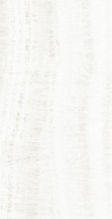 OL Onyx White Polished 12 x 24